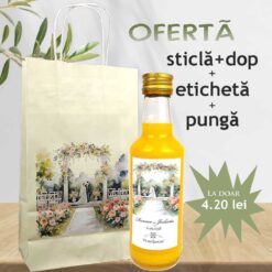 pachet marturii nunta complet cu sticle 200 ml ieftine si punga rezistenta.